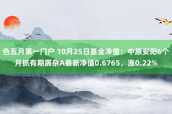 色五月第一门户 10月25日基金净值：中原安阳6个月抓有期羼杂A最新净值0.6765，涨0.22%