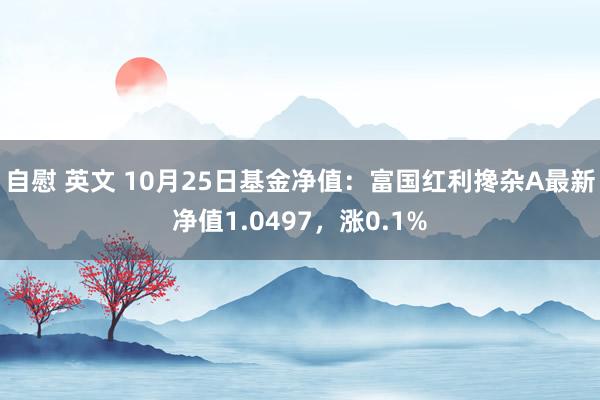 自慰 英文 10月25日基金净值：富国红利搀杂A最新净值1.0497，涨0.1%