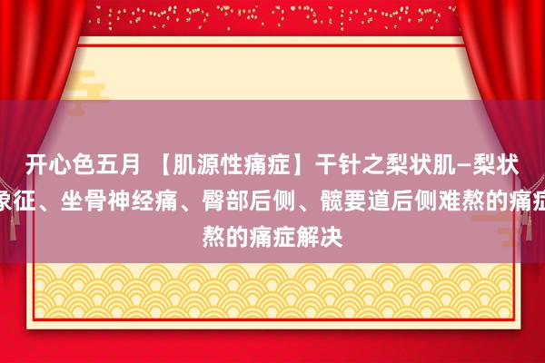 开心色五月 【肌源性痛症】干针之梨状肌—梨状肌抽象征、坐骨神经痛、臀部后侧、髋要道后侧难熬的痛症解决