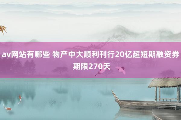 av网站有哪些 物产中大顺利刊行20亿超短期融资券 期限270天