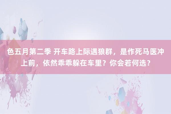 色五月第二季 开车路上际遇狼群，是作死马医冲上前，依然乖乖躲在车里？你会若何选？