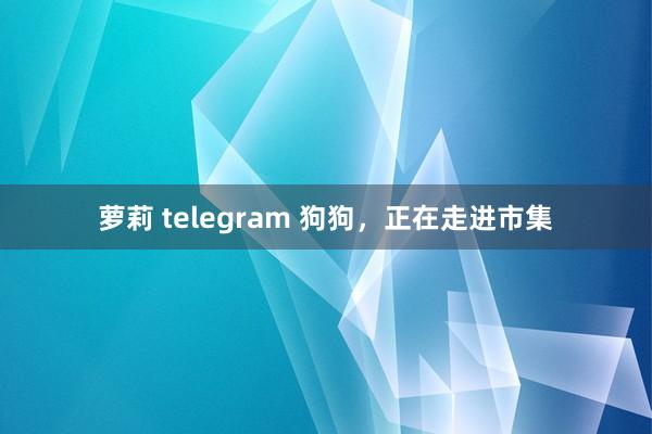 萝莉 telegram 狗狗，正在走进市集