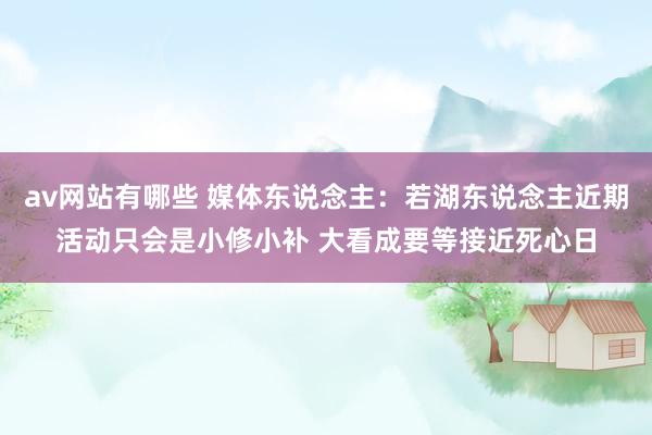 av网站有哪些 媒体东说念主：若湖东说念主近期活动只会是小修小补 大看成要等接近死心日