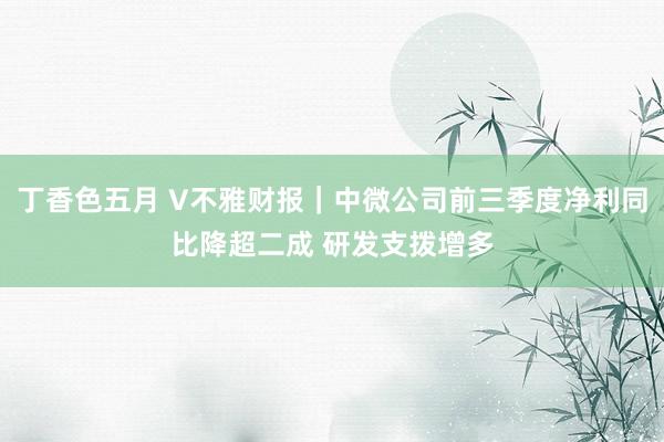 丁香色五月 V不雅财报｜中微公司前三季度净利同比降超二成 研发支拨增多