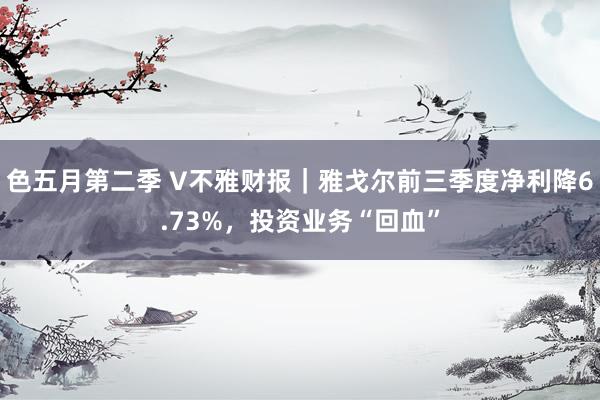 色五月第二季 V不雅财报｜雅戈尔前三季度净利降6.73%，投资业务“回血”