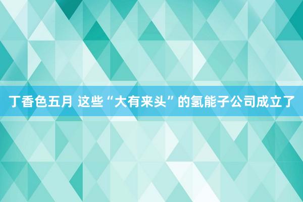 丁香色五月 这些“大有来头”的氢能子公司成立了