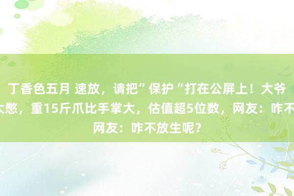 丁香色五月 速放，请把”保护“打在公屏上！大爷合手获大憋，重15斤爪比手掌大，估值超5位数，网友：咋不放生呢？