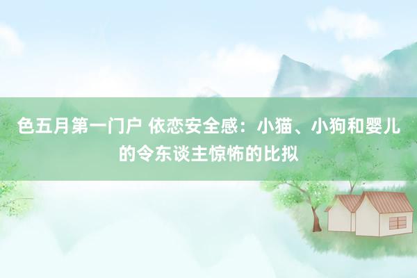 色五月第一门户 依恋安全感：小猫、小狗和婴儿的令东谈主惊怖的比拟