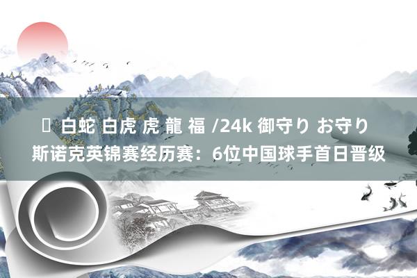 ✨白蛇 白虎 虎 龍 福 /24k 御守り お守り 斯诺克英锦赛经历赛：6位中国球手首日晋级