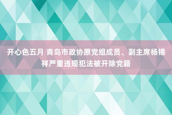 开心色五月 青岛市政协原党组成员、副主席杨锡祥严重违规犯法被开除党籍