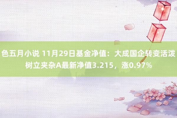 色五月小说 11月29日基金净值：大成国企转变活泼树立夹杂A最新净值3.215，涨0.97%