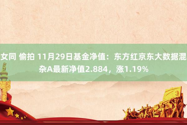 女同 偷拍 11月29日基金净值：东方红京东大数据混杂A最新净值2.884，涨1.19%