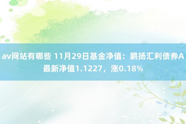 av网站有哪些 11月29日基金净值：鹏扬汇利债券A最新净值1.1227，涨0.18%