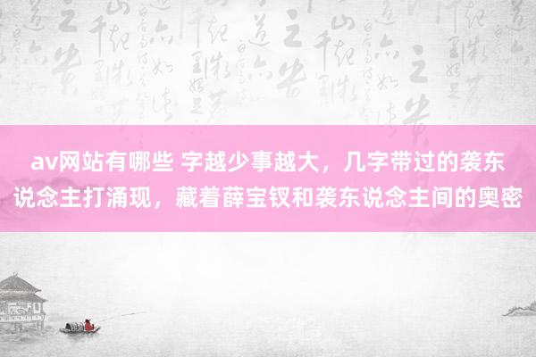 av网站有哪些 字越少事越大，几字带过的袭东说念主打涌现，藏着薛宝钗和袭东说念主间的奥密