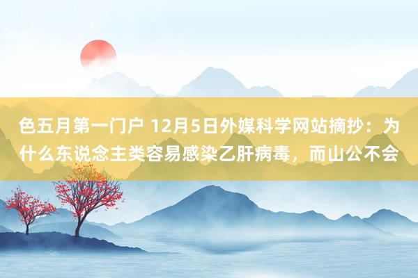 色五月第一门户 12月5日外媒科学网站摘抄：为什么东说念主类容易感染乙肝病毒，而山公不会