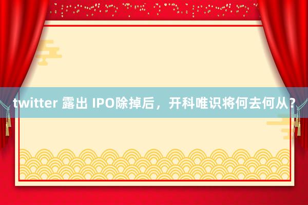 twitter 露出 IPO除掉后，开科唯识将何去何从？