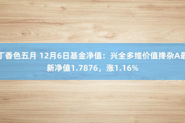 丁香色五月 12月6日基金净值：兴全多维价值搀杂A最新净值1.7876，涨1.16%