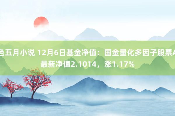 色五月小说 12月6日基金净值：国金量化多因子股票A最新净值2.1014，涨1.17%