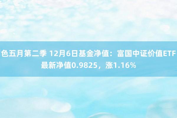 色五月第二季 12月6日基金净值：富国中证价值ETF最新净值0.9825，涨1.16%