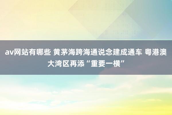 av网站有哪些 黄茅海跨海通说念建成通车 粤港澳大湾区再添“重要一横”