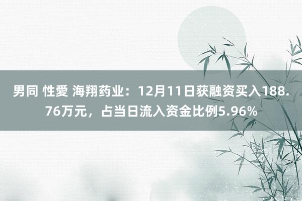 男同 性愛 海翔药业：12月11日获融资买入188.76万元，占当日流入资金比例5.96%