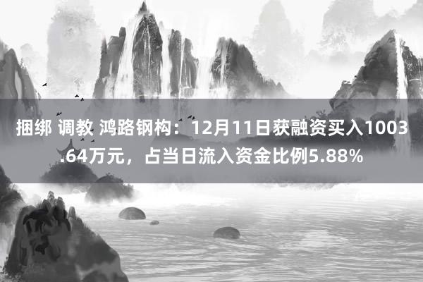 捆绑 调教 鸿路钢构：12月11日获融资买入1003.64万元，占当日流入资金比例5.88%