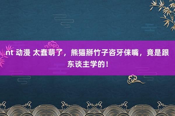 nt 动漫 太蠢萌了，熊猫掰竹子咨牙俫嘴，竟是跟东谈主学的！