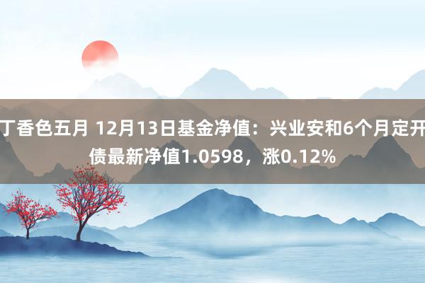 丁香色五月 12月13日基金净值：兴业安和6个月定开债最新净值1.0598，涨0.12%