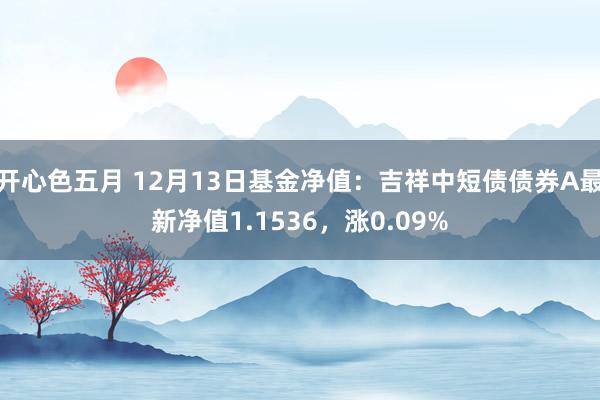 开心色五月 12月13日基金净值：吉祥中短债债券A最新净值1.1536，涨0.09%