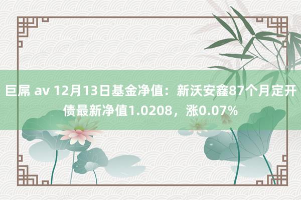 巨屌 av 12月13日基金净值：新沃安鑫87个月定开债最新净值1.0208，涨0.07%