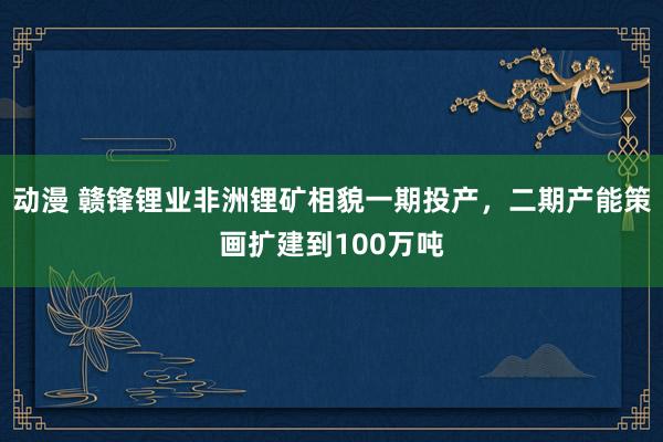 动漫 赣锋锂业非洲锂矿相貌一期投产，二期产能策画扩建到100万吨