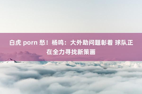 白虎 porn 愁！杨鸣：大外助问题彰着 球队正在全力寻找新策画