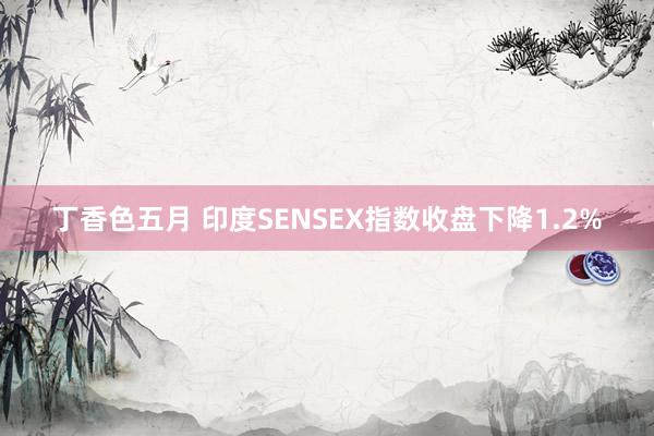 丁香色五月 印度SENSEX指数收盘下降1.2%