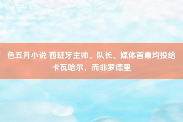 色五月小说 西班牙主帅、队长、媒体首票均投给卡瓦哈尔，而非罗德里