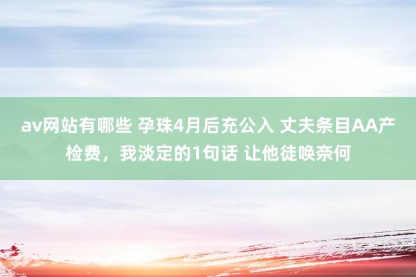 av网站有哪些 孕珠4月后充公入 丈夫条目AA产检费，我淡定的1句话 让他徒唤奈何