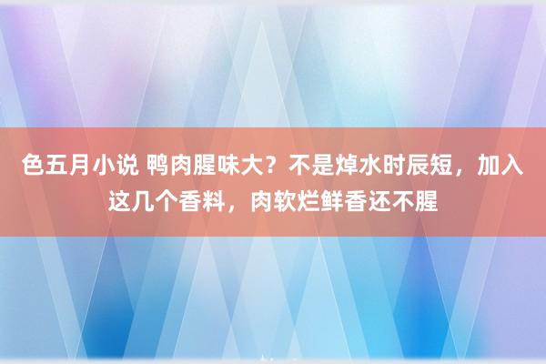 色五月小说 鸭肉腥味大？不是焯水时辰短，加入这几个香料，肉软烂鲜香还不腥