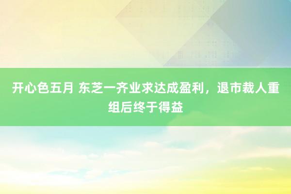 开心色五月 东芝一齐业求达成盈利，退市裁人重组后终于得益