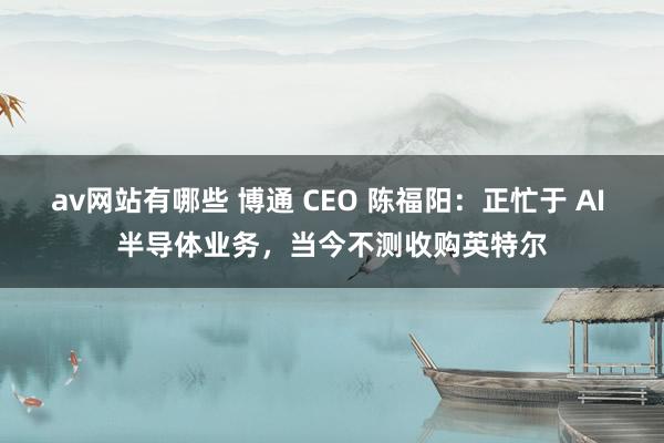 av网站有哪些 博通 CEO 陈福阳：正忙于 AI 半导体业务，当今不测收购英特尔