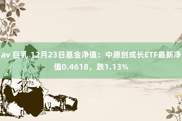 av 巨乳 12月23日基金净值：中原创成长ETF最新净值0.4618，跌1.13%