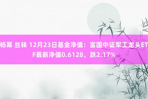 杨幂 丝袜 12月23日基金净值：富国中证军工龙头ETF最新净值0.6128，跌2.17%