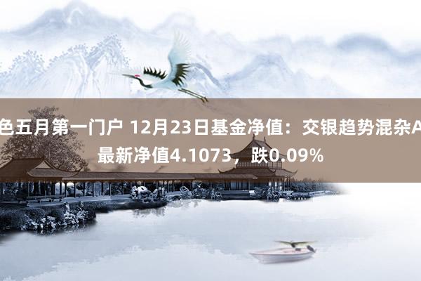 色五月第一门户 12月23日基金净值：交银趋势混杂A最新净值4.1073，跌0.09%