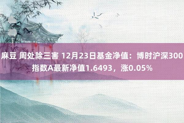 麻豆 周处除三害 12月23日基金净值：博时沪深300指数A最新净值1.6493，涨0.05%