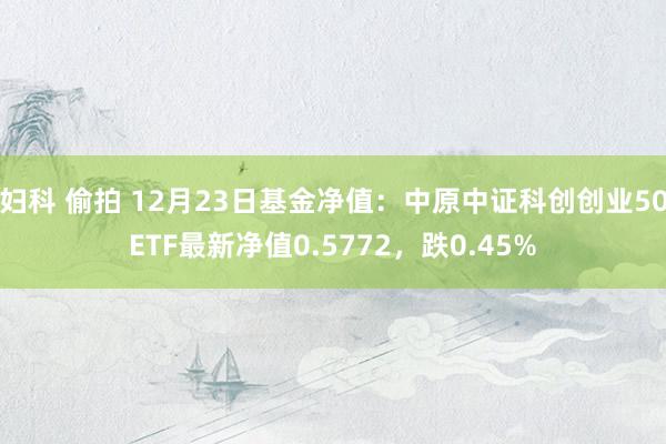 妇科 偷拍 12月23日基金净值：中原中证科创创业50ETF最新净值0.5772，跌0.45%