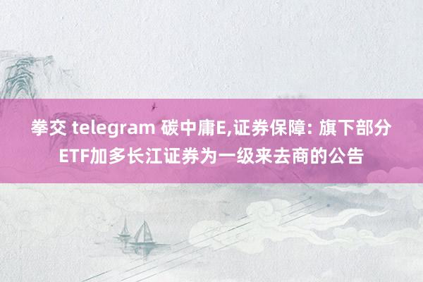 拳交 telegram 碳中庸E，证券保障: 旗下部分ETF加多长江证券为一级来去商的公告