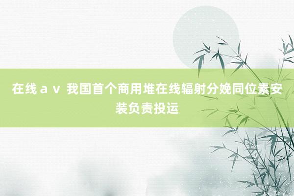 在线ａｖ 我国首个商用堆在线辐射分娩同位素安装负责投运