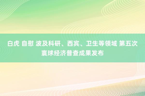 白虎 自慰 波及科研、西宾、卫生等领域 第五次寰球经济普查成果发布