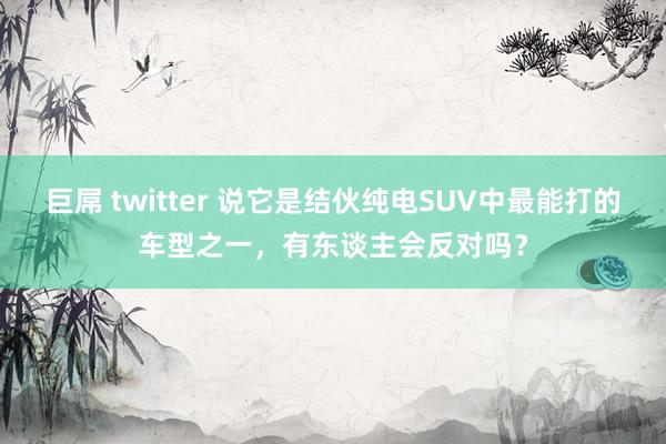 巨屌 twitter 说它是结伙纯电SUV中最能打的车型之一，有东谈主会反对吗？