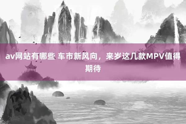 av网站有哪些 车市新风向，来岁这几款MPV值得期待