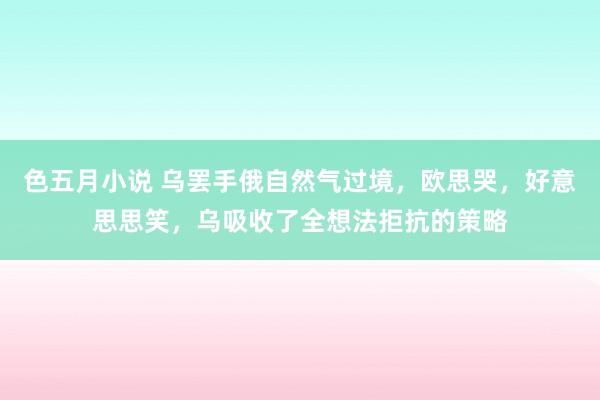 色五月小说 乌罢手俄自然气过境，欧思哭，好意思思笑，乌吸收了全想法拒抗的策略