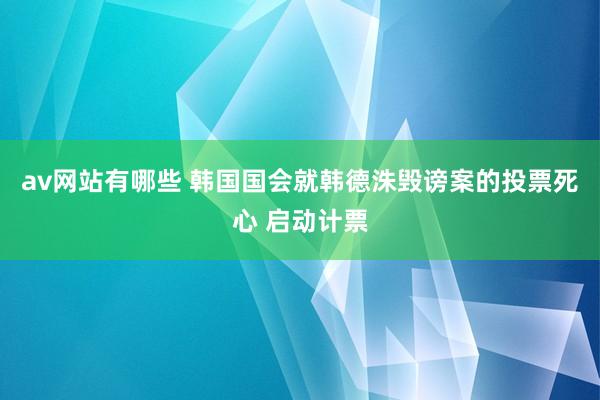 av网站有哪些 韩国国会就韩德洙毁谤案的投票死心 启动计票